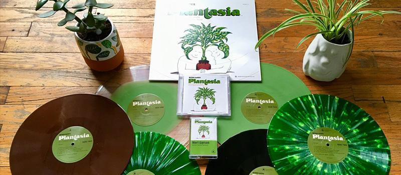 Connected to nature through music-The Feeting Room