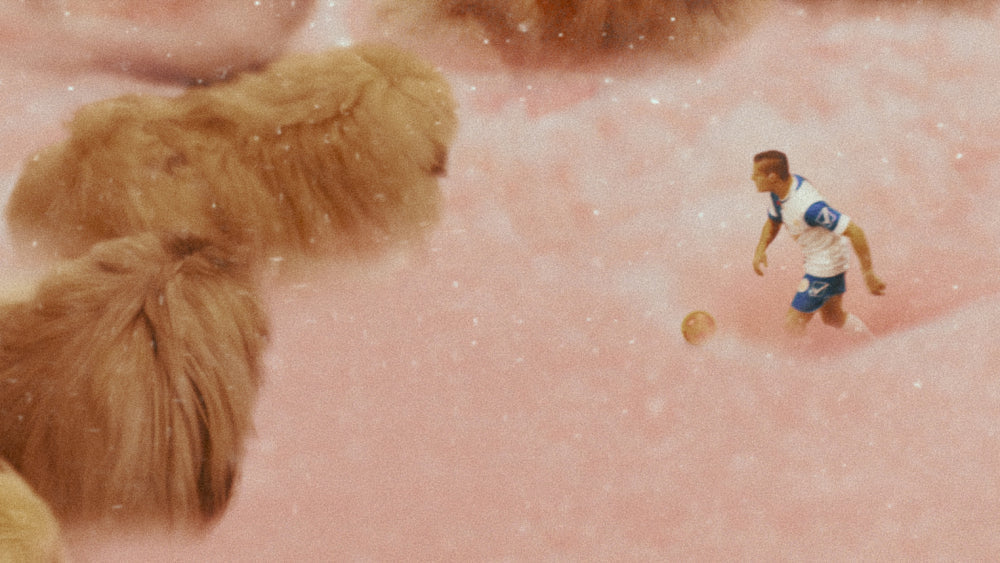 Diamantino is forever - The Feeting Room