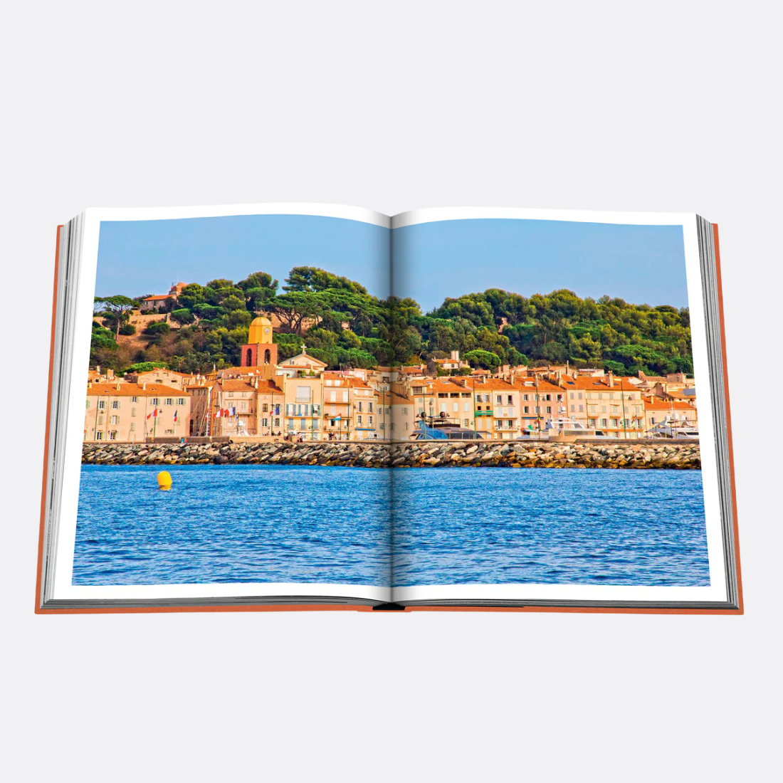 <PRODUCTTITLE> in Orange by Assouline.