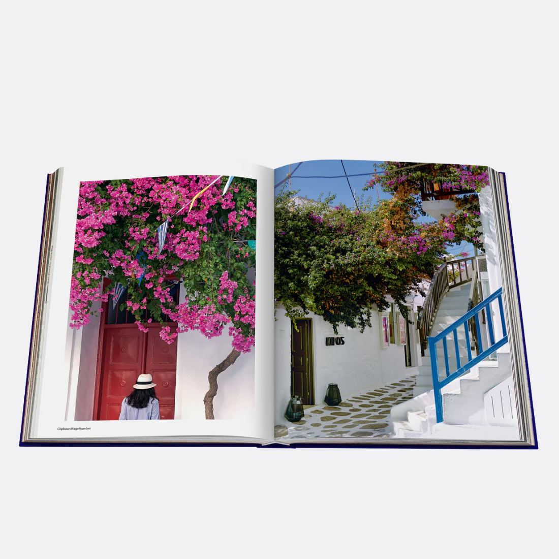 <PRODUCTTITLE> in Blue by Assouline.
