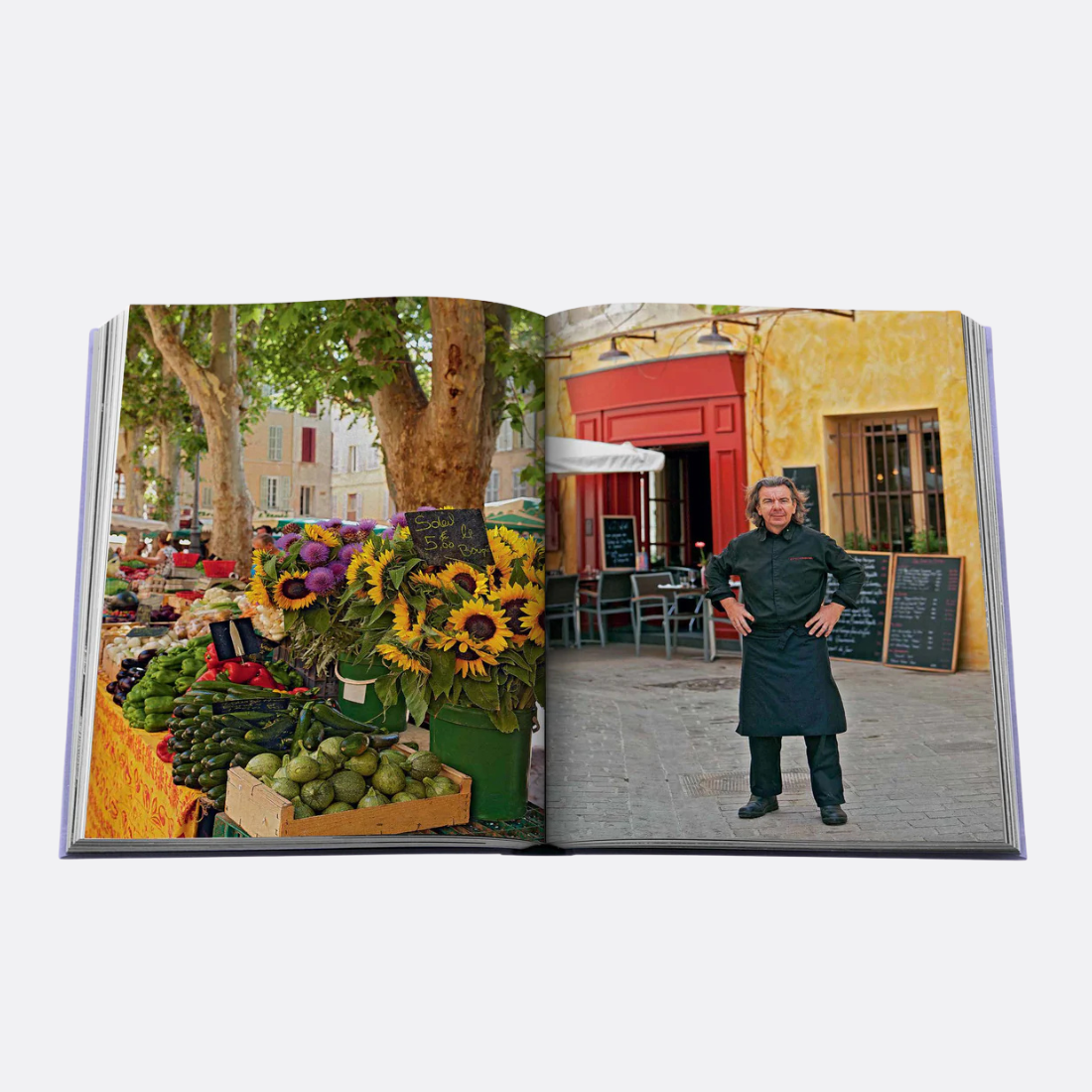 <PRODUCTTITLE> in Purple by Assouline.