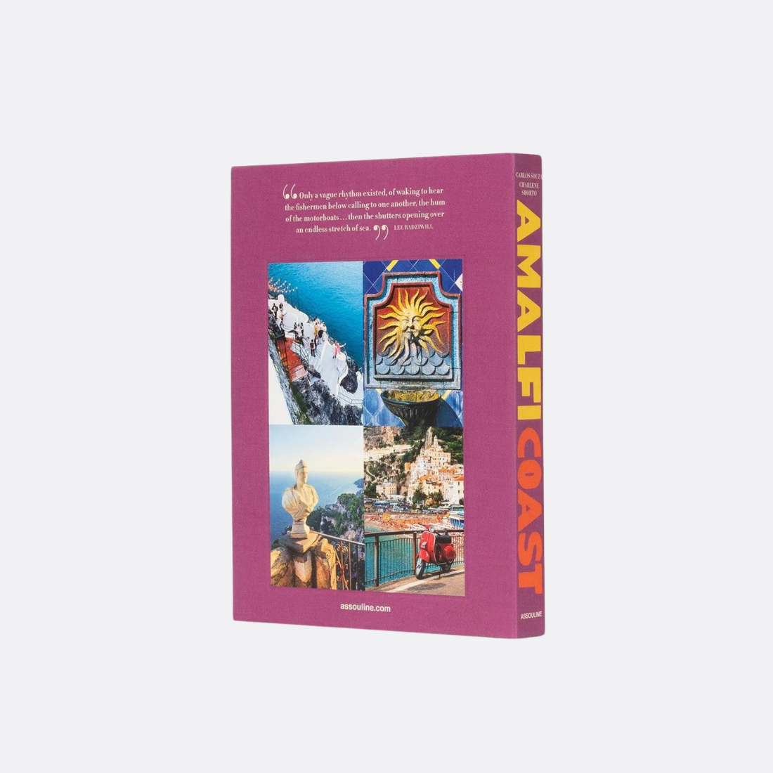 <PRODUCTTITLE> in Purple by Assouline.