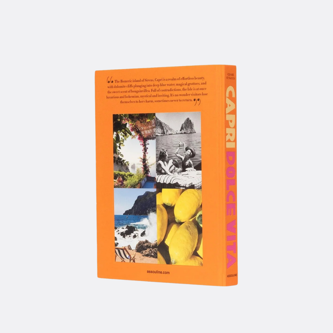 <PRODUCTTITLE> in Orange by Assouline.