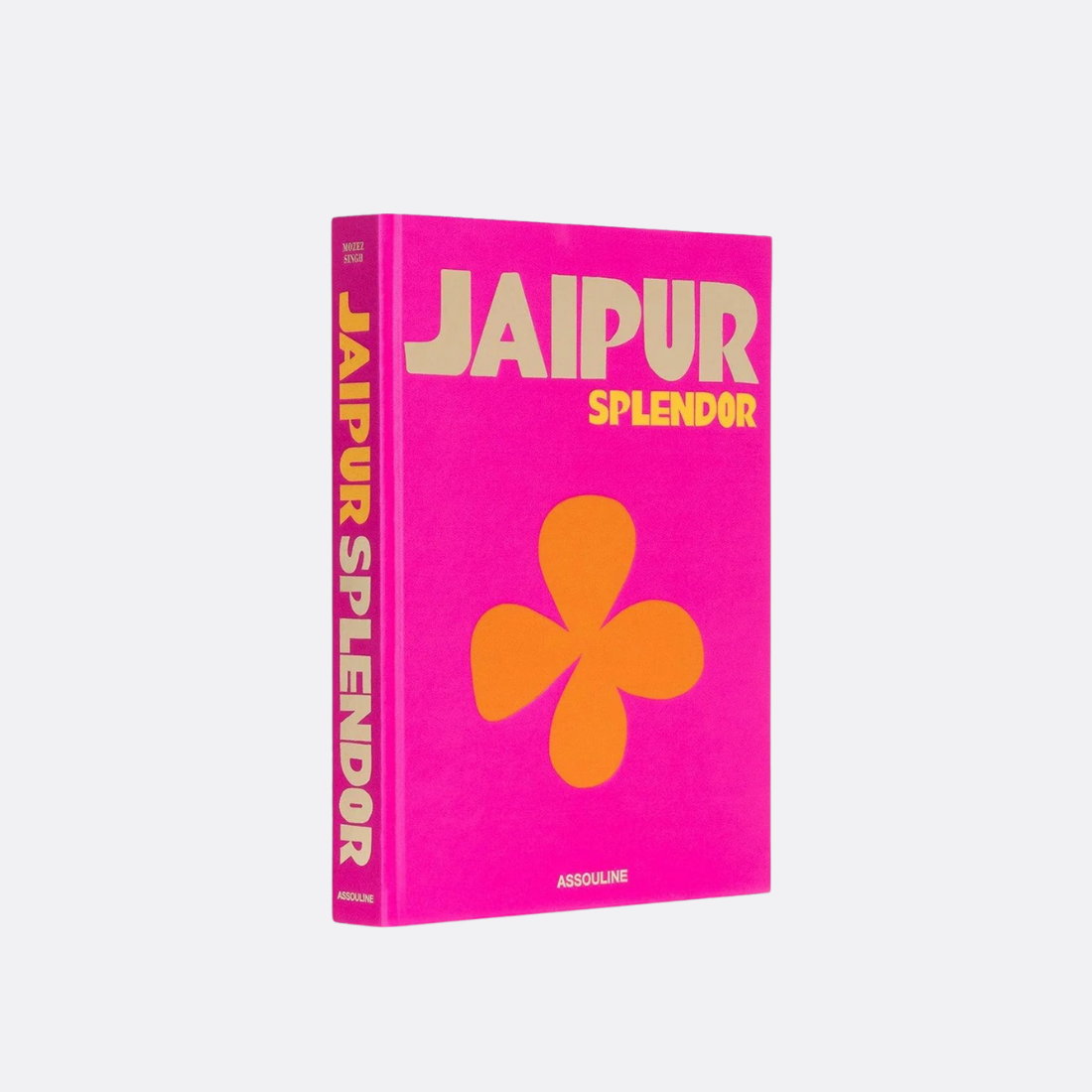 Livre de splendeur de jaipur