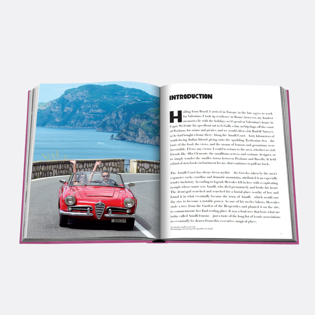 <PRODUCTTITLE> in Purple by Assouline.