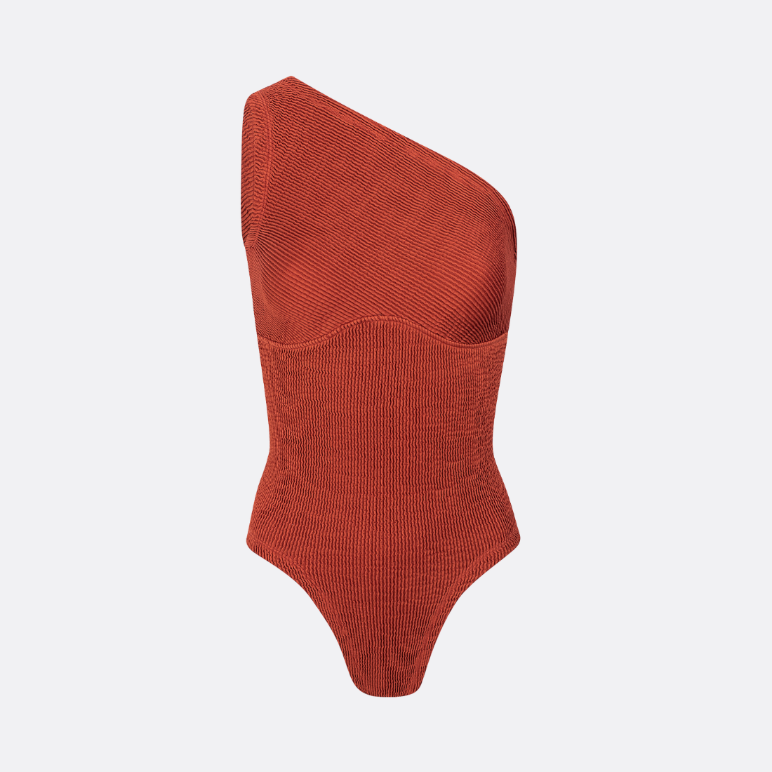 Brisa Swinsuit