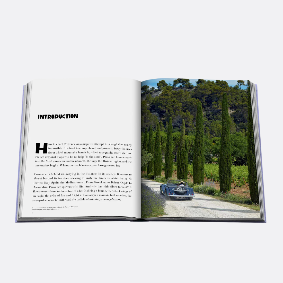 <PRODUCTTITLE> in Purple by Assouline.