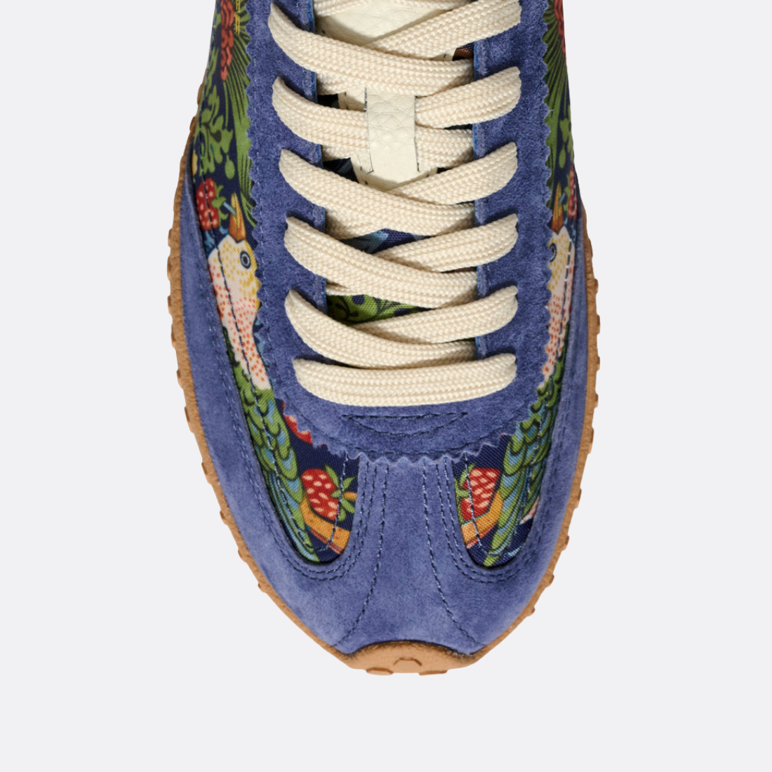 <PRODUCTTITLE> in Multi by Hoff.