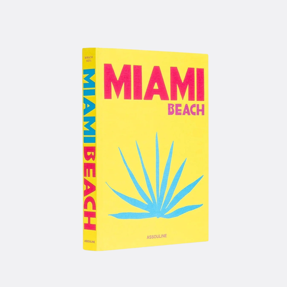 Miami Beach Book