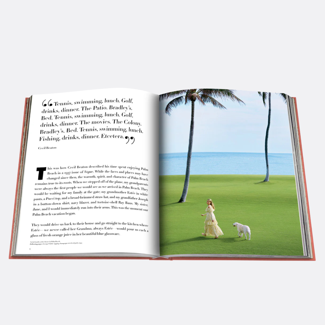<PRODUCTTITLE> in Pink by Assouline.