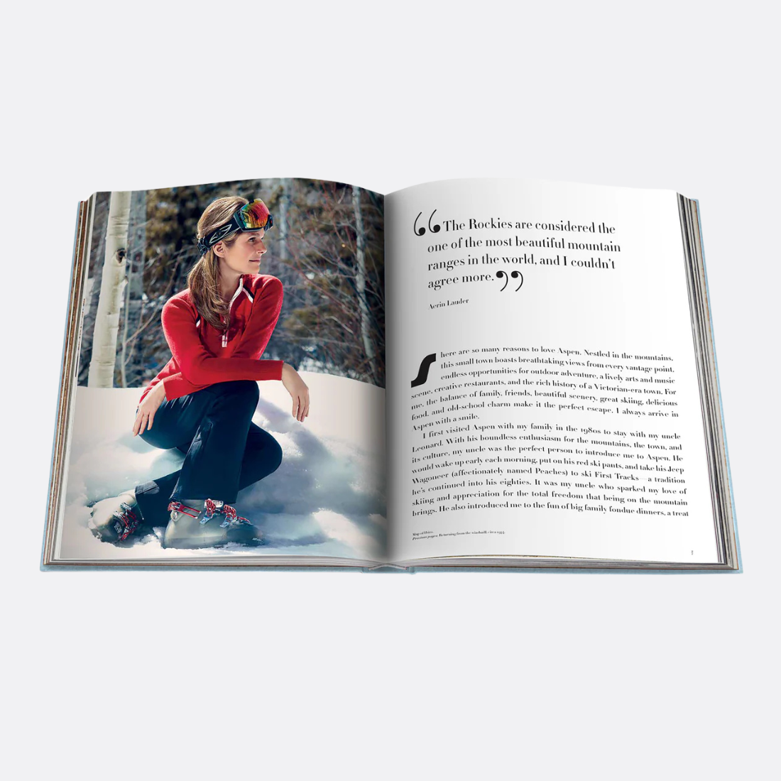 <PRODUCTTITLE> in Grey by Assouline.