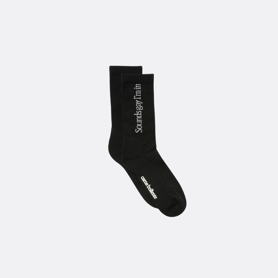 Smells Gay I'm in Socks