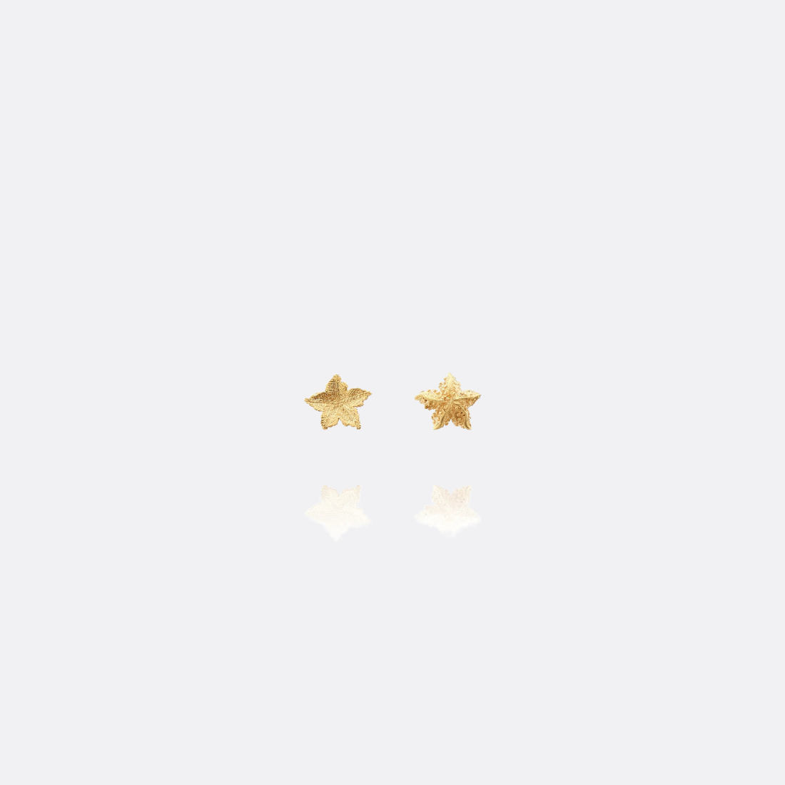 Brincos Estrelas do Mar