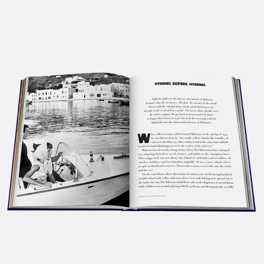 <PRODUCTTITLE> in Blue by Assouline.
