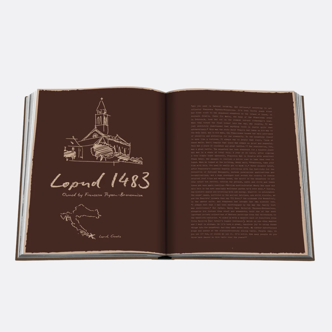 <PRODUCTTITLE> in Brown by Assouline.