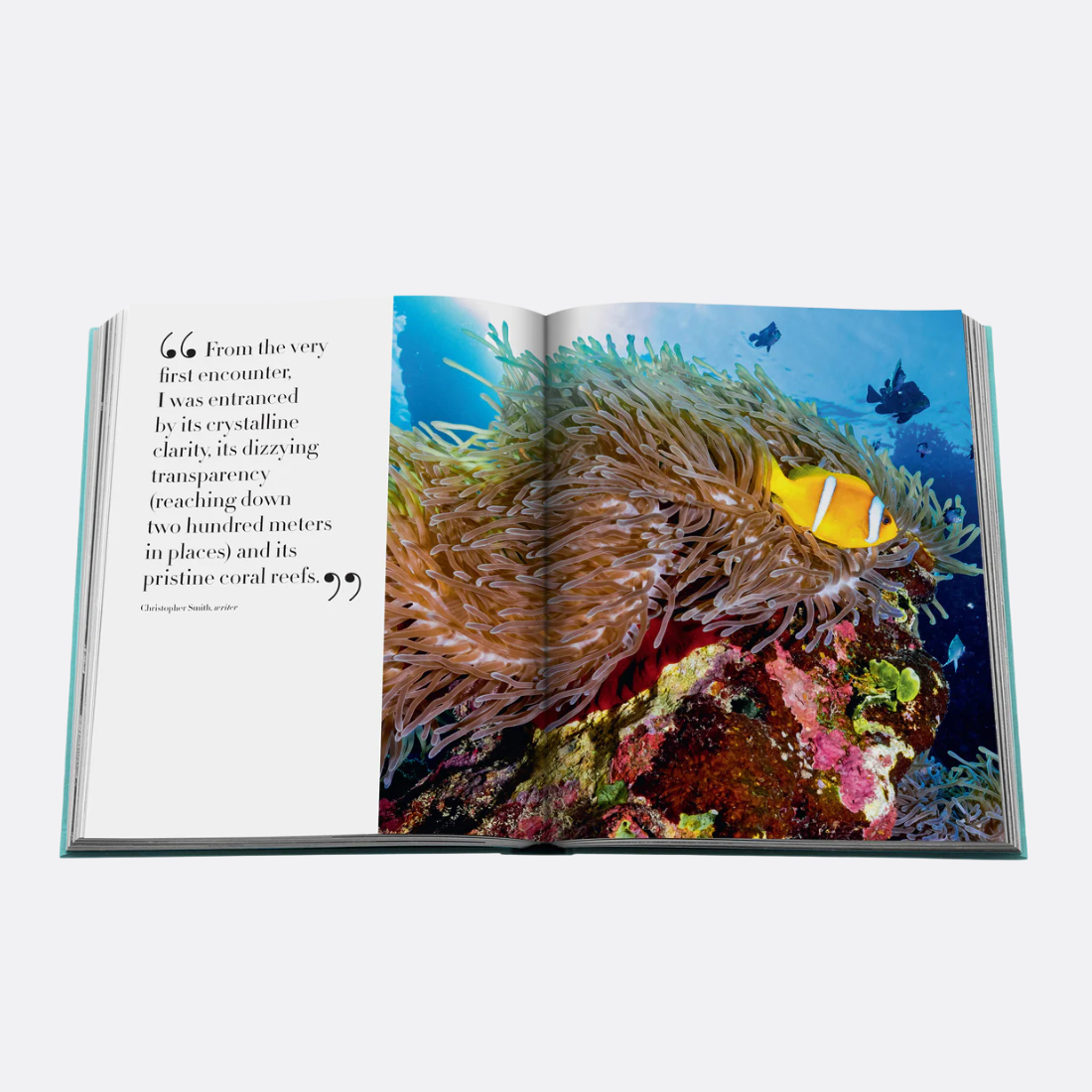 <PRODUCTTITLE> in Blue by Assouline.