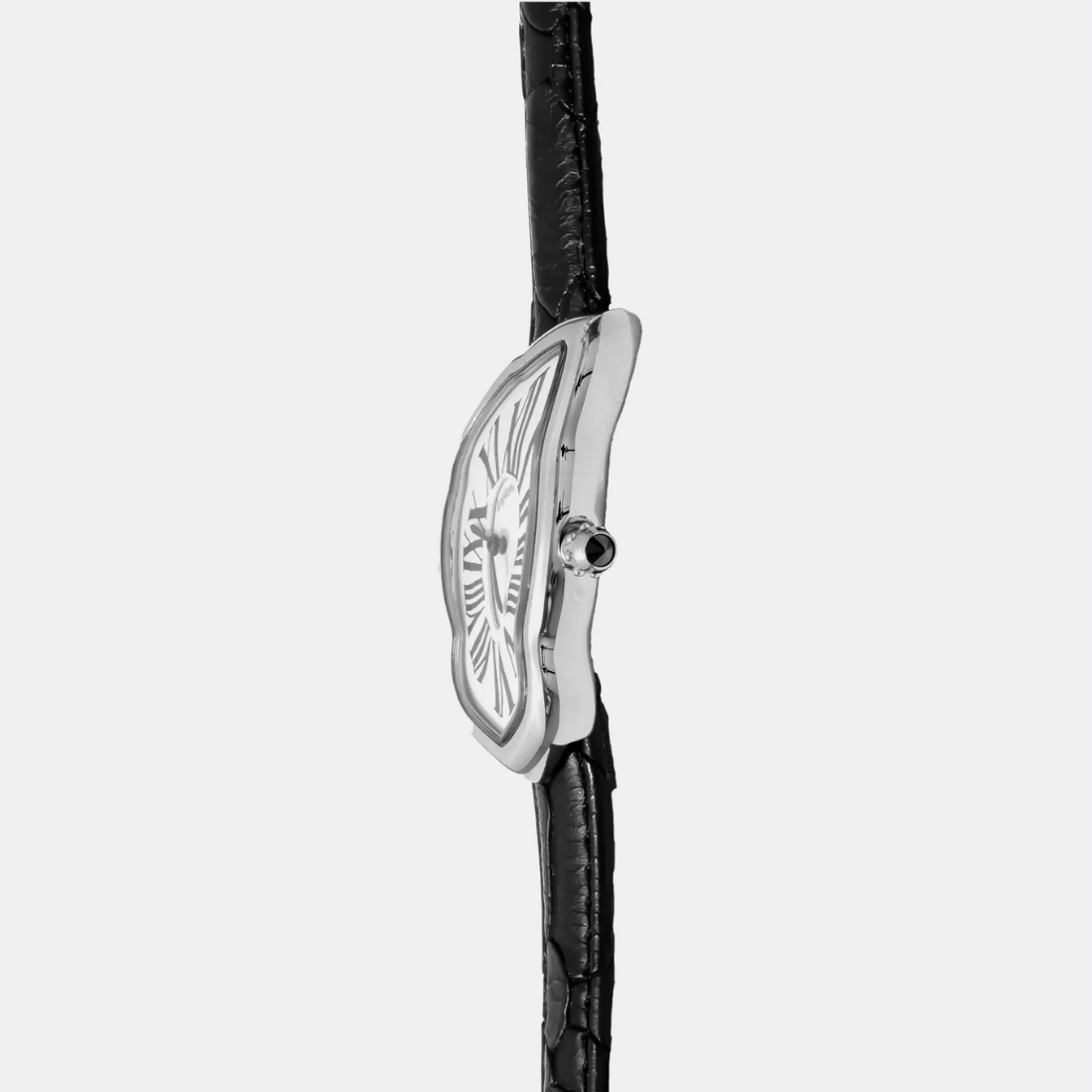 <PRODUCTTITLE> in Silver by Laphont Monteral.