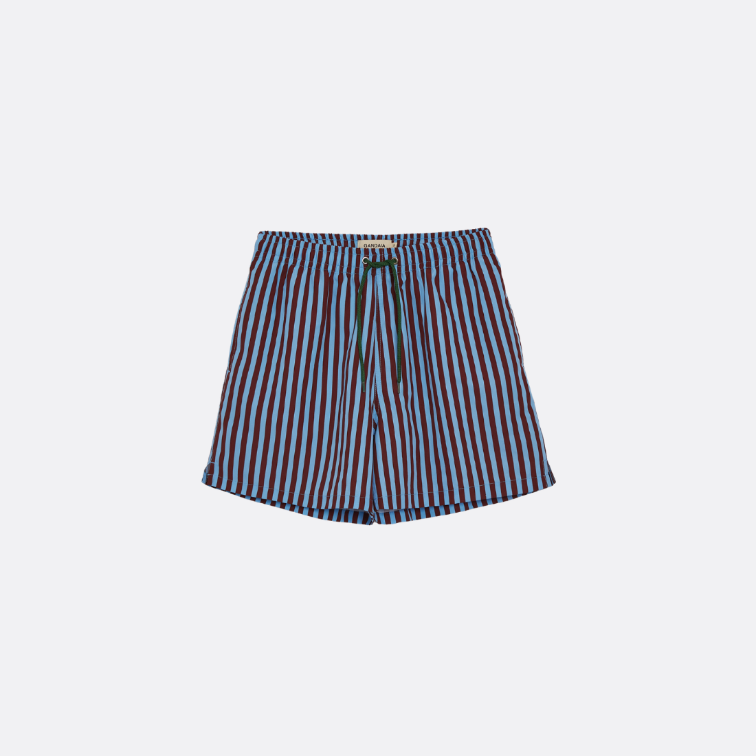 Striped Swim Shorts