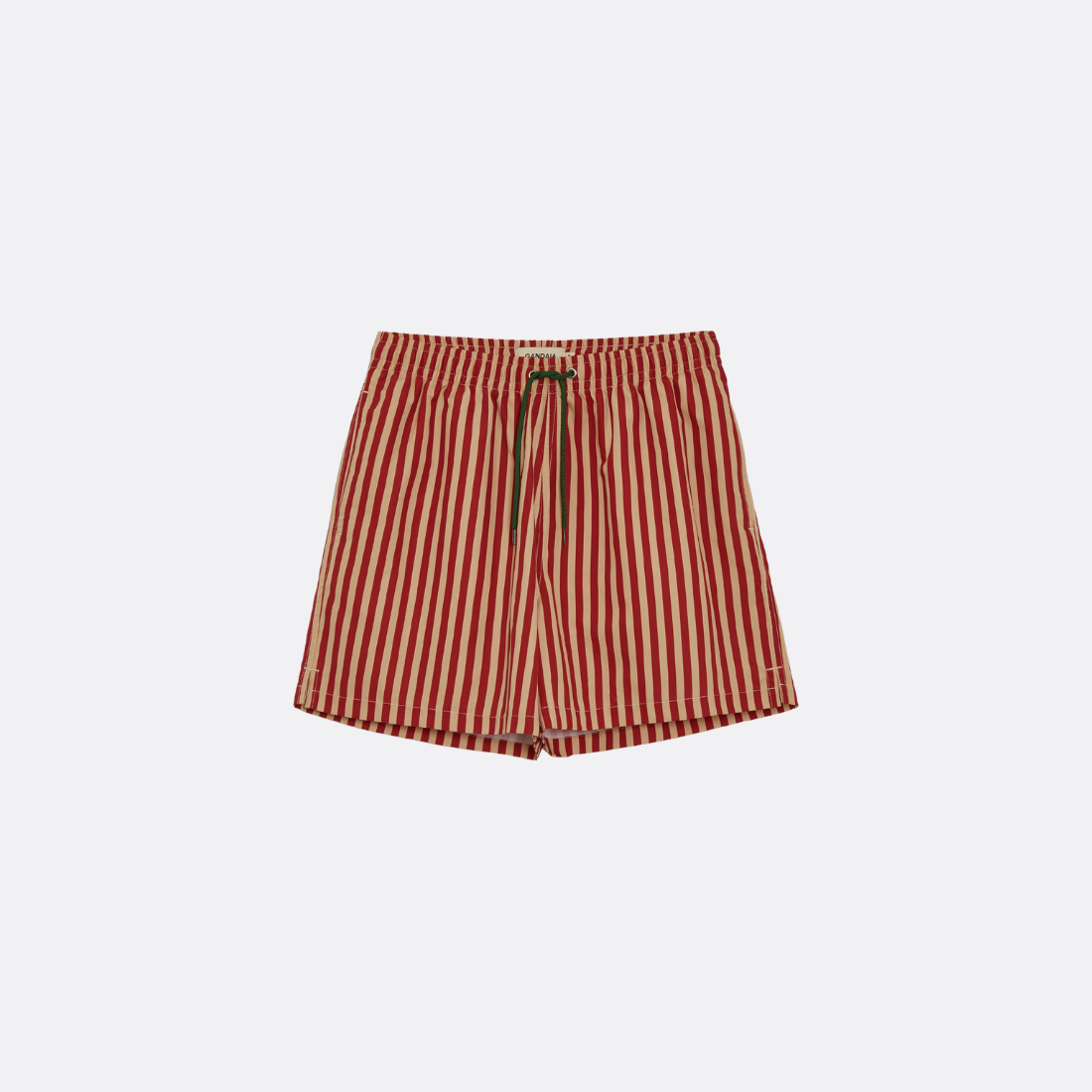 Striped Swim Shorts