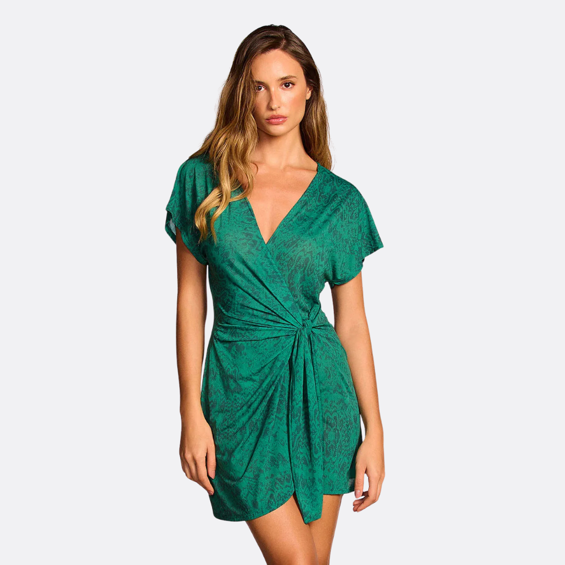 Paysage Dress